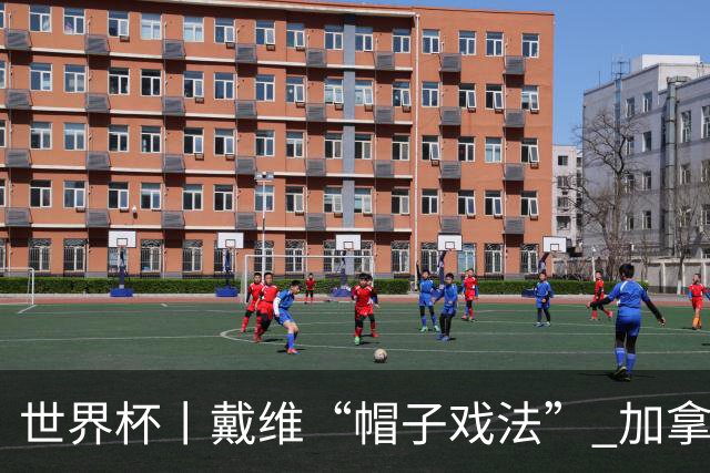 世界杯丨戴维“帽子戏法” 加拿大6球大胜卡塔尔
