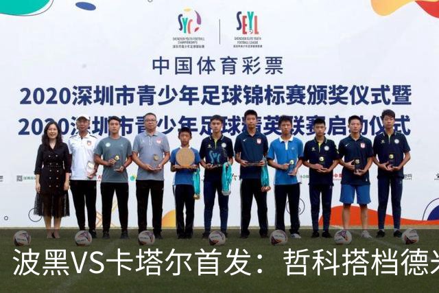 波黑VS卡塔尔首发：哲科搭档德米罗维奇 科拉希纳茨出战