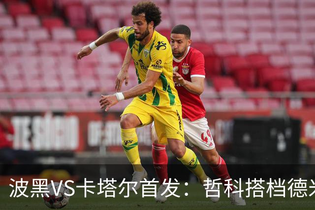 波黑VS卡塔尔首发：哲科搭档德米罗维奇 科拉希纳茨出战