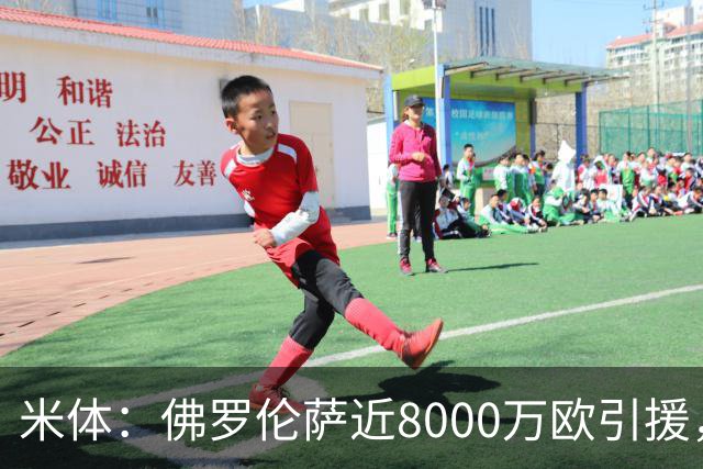 米体：佛罗伦萨近8000万欧引援，目标重返欧战