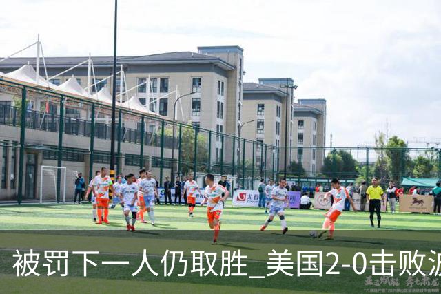 被罚下一人仍取胜 美国2-0击败波黑晋级16强