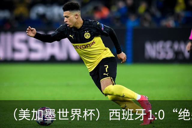 （美加墨世界杯）西班牙1:0“绝杀”葡萄牙 C罗结束世界杯征程
